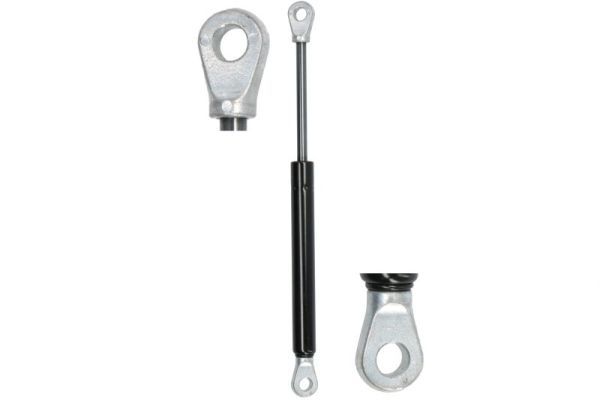 Magnum Technology MGS150 Gas Spring, door