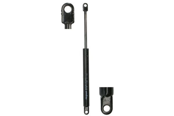 Magnum Technology MGS153 Gas Spring, door