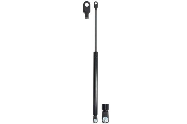 Magnum Technology MGS163 Gas Spring, door