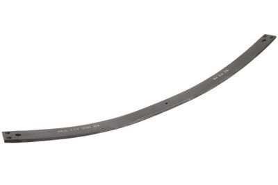 Spring Leaf Magnum Technology MLS-72799003