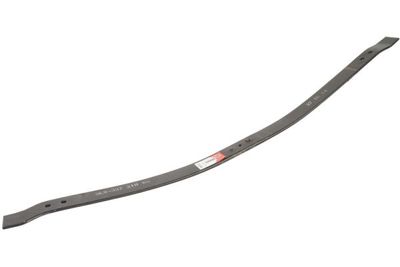 Spring Leaf Magnum Technology MLS-33721068