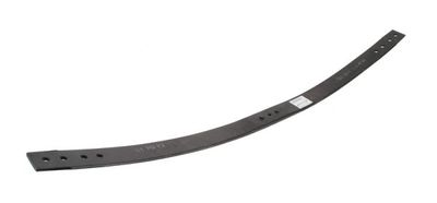 Spring Leaf Magnum Technology MLS-33781065