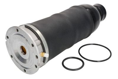 Air Suspension Strut Magnum Technology MZA008MT