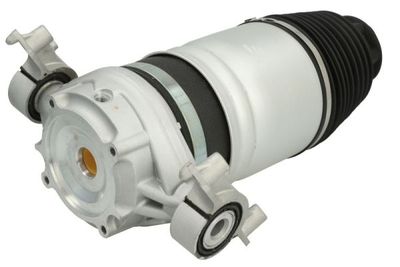 Air Spring, suspension Magnum Technology MZW003MT