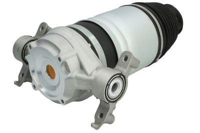 Air Spring, suspension Magnum Technology MZW004MT