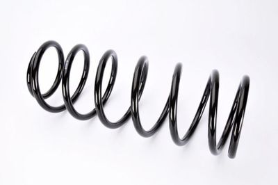 Suspension Spring Magnum Technology S00001MT