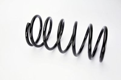 Suspension Spring Magnum Technology S00010MT