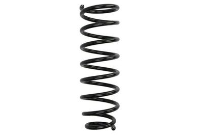 Suspension Spring Magnum Technology S00012