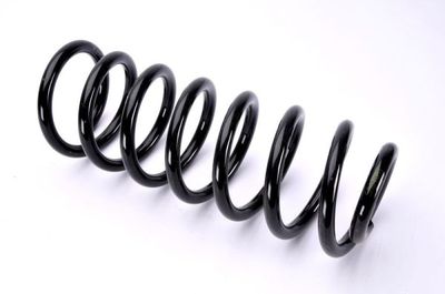 Suspension Spring Magnum Technology SA040MT