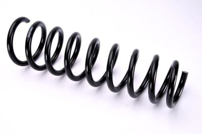 Suspension Spring Magnum Technology SA075MT