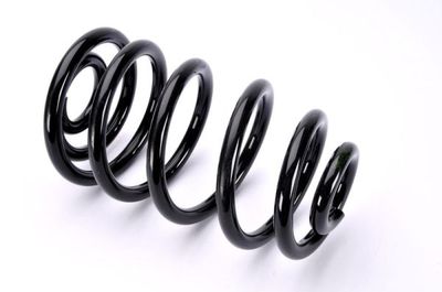 Suspension Spring Magnum Technology SA092MT