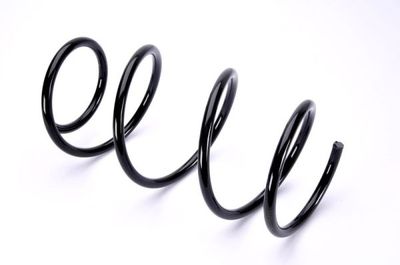 Suspension Spring Magnum Technology SB006MT
