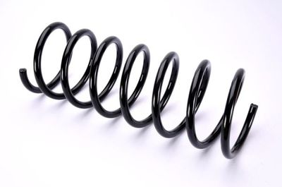 Suspension Spring Magnum Technology SB024MT