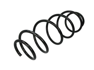 Suspension Spring Magnum Technology SC046MT
