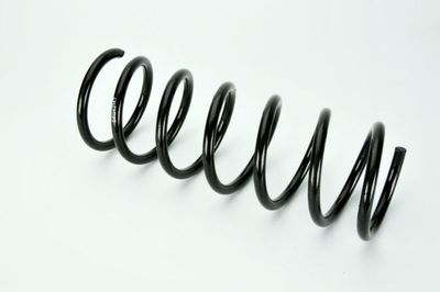 Suspension Spring Magnum Technology SF042MT