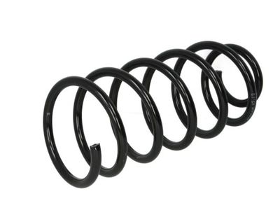Suspension Spring Magnum Technology SF094MT