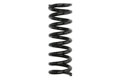 Suspension Spring Magnum Technology SG209