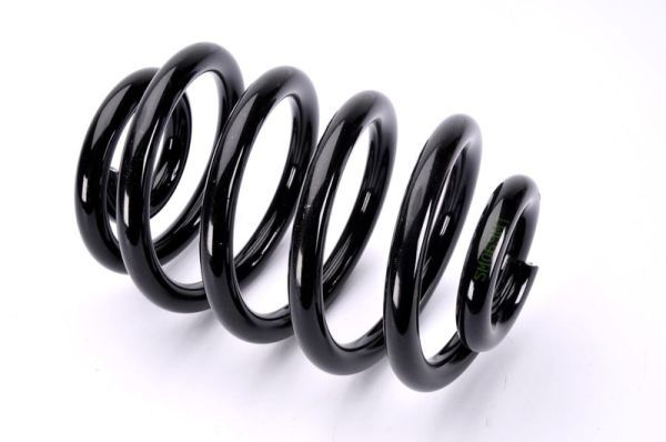 Magnum Technology SM069MT Suspension Spring