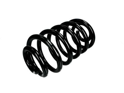 Suspension Spring Magnum Technology SM094MT