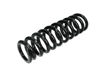 Suspension Spring Magnum Technology SM100MT