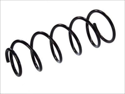 Suspension Spring Magnum Technology SP022MT