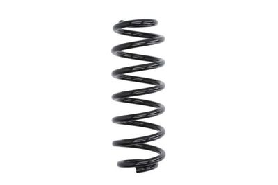 Suspension Spring Magnum Technology SP073MT