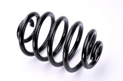 Suspension Spring Magnum Technology SR058MT