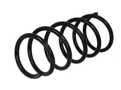 Suspension Spring Magnum Technology SR134MT