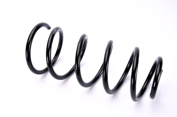 Magnum Technology SS005MT Suspension Spring