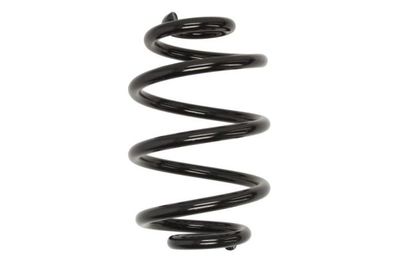 Suspension Spring Magnum Technology SS029MT