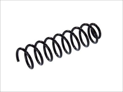 Suspension Spring Magnum Technology ST017MT