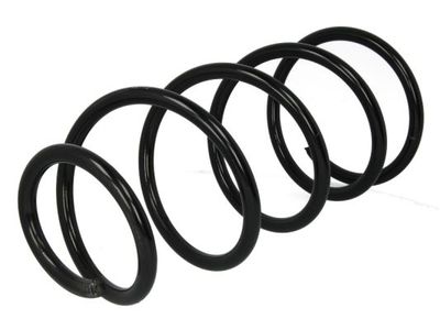 Suspension Spring Magnum Technology SV067MT