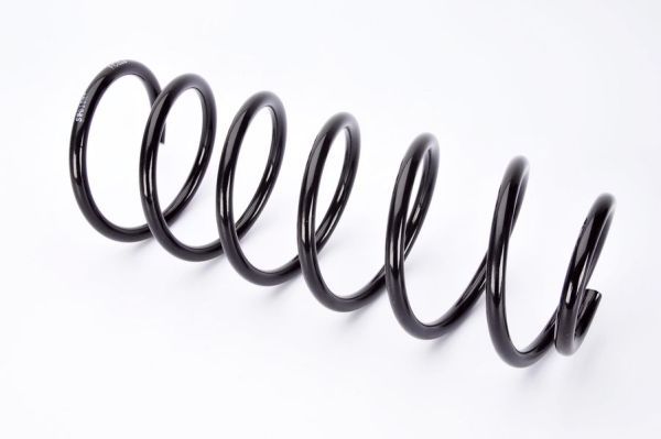 Magnum Technology SW015MT Suspension Spring