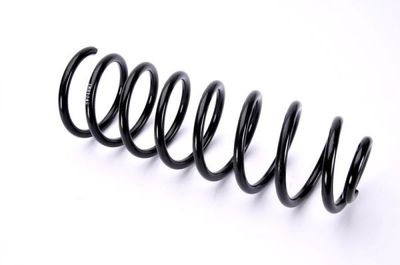 Suspension Spring Magnum Technology SW048MT