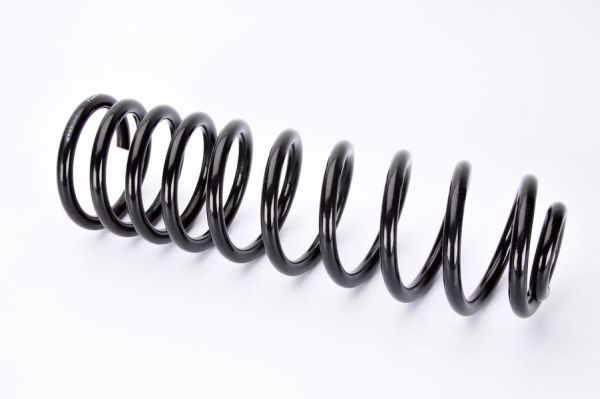 Magnum Technology SW064MT Suspension Spring