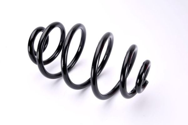 Magnum Technology SW065MT Suspension Spring