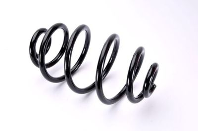 Suspension Spring Magnum Technology SW065MT