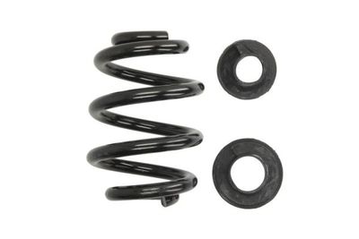 Suspension Spring Magnum Technology SW116MT