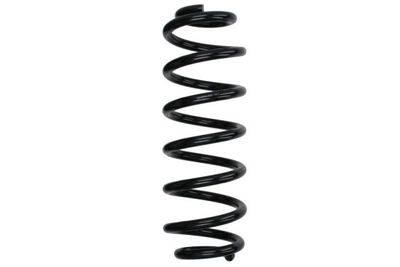 Suspension Spring Magnum Technology SW195