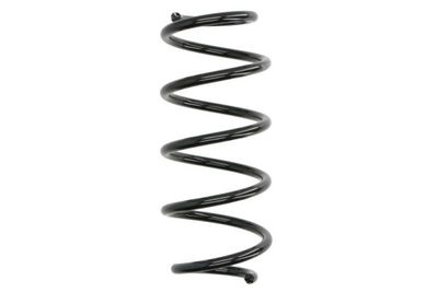 Suspension Spring Magnum Technology SW198