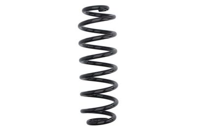 Suspension Spring Magnum Technology SW211