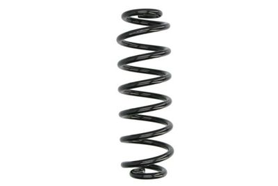 Suspension Spring Magnum Technology SW218