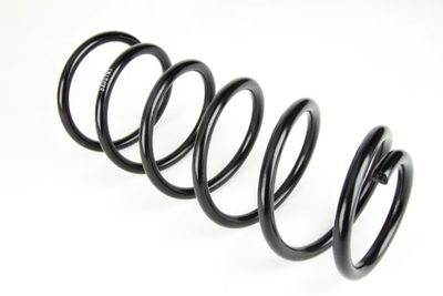 Suspension Spring Magnum Technology SX027MT