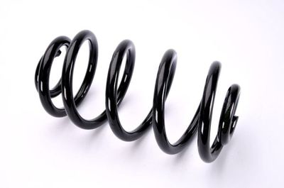 Suspension Spring Magnum Technology SX169MT