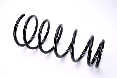 Suspension Spring Magnum Technology SZ2097MT