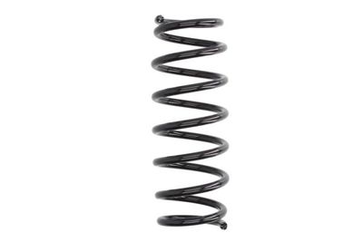 Suspension Spring Magnum Technology SZ8029MT