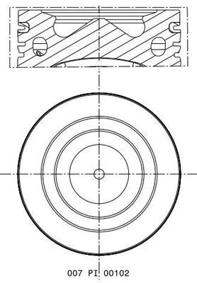 MAHLE 007 PI 00102 000 Piston