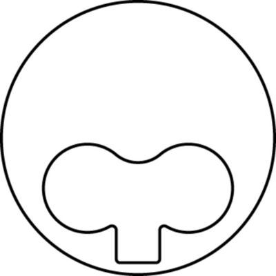 Piston MAHLE 009 38 00