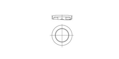 Piston MAHLE 013 PI 00138 000