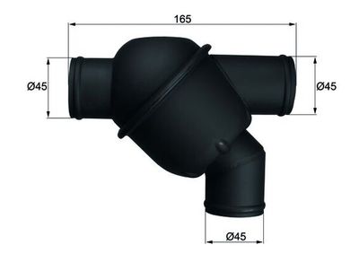 Thermostat, coolant MAHLE TH 20 79